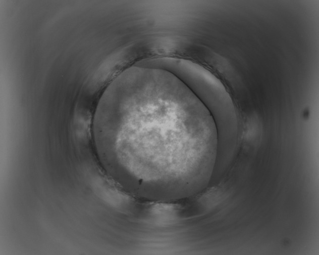X0000115660332200912241404