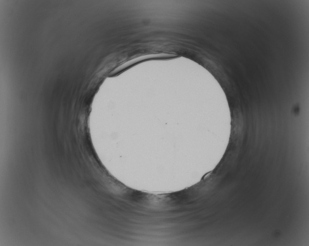 X0000115660333200912241404