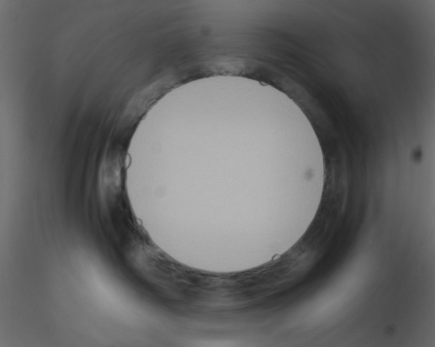 X0000115660334200912241404