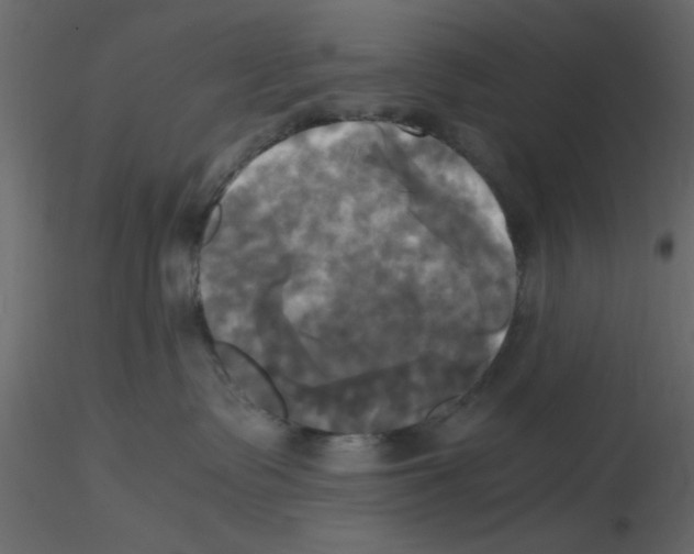 X0000115660335200912241404