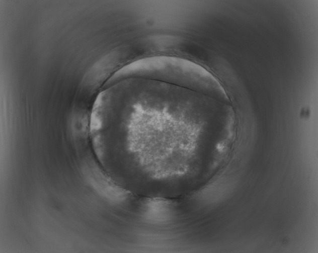 X0000115660336200912241404