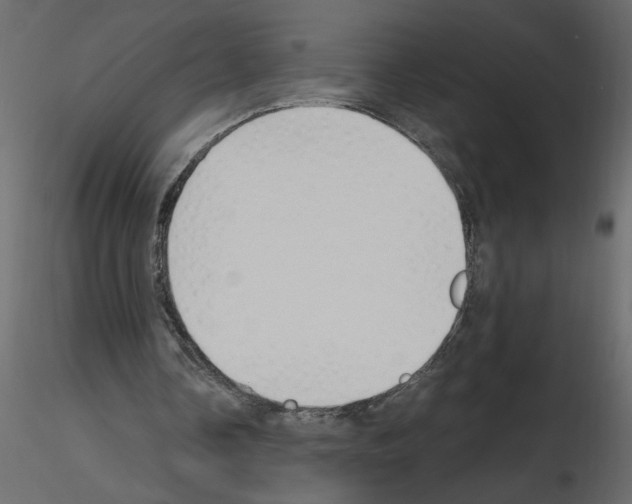 X0000115660338200912241403