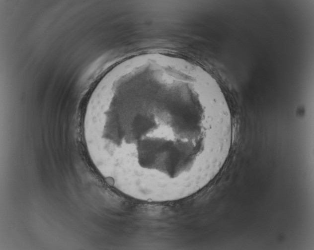 X0000115660339200912241403