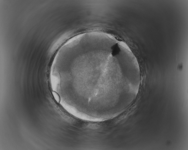 X0000115660341200912241403