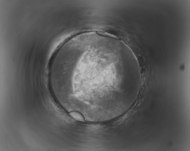 X0000115660342200912241403