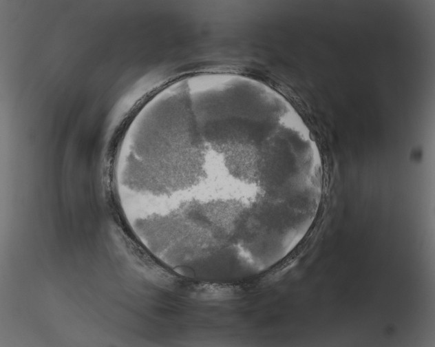 X0000115660343200912241403