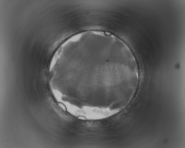 X0000115660345200912241403