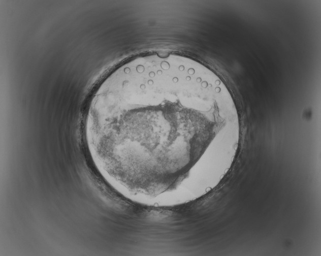 X0000115660346200912241403