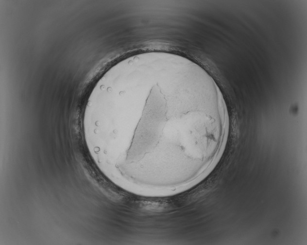 X0000115660347200912241403