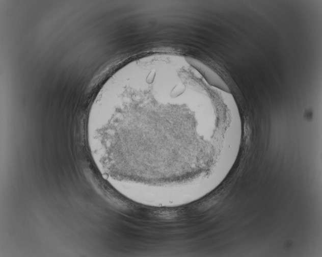 X0000115660349200912241403