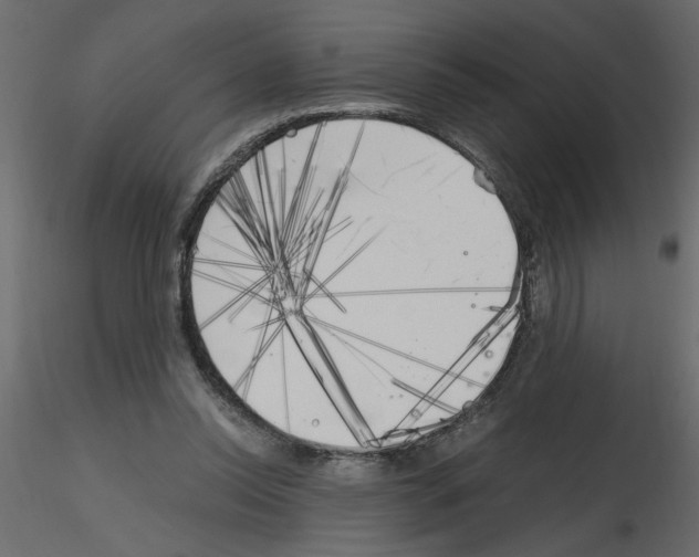 X0000115660350200912241403