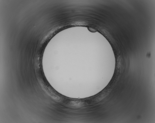 X0000115660351200912241403