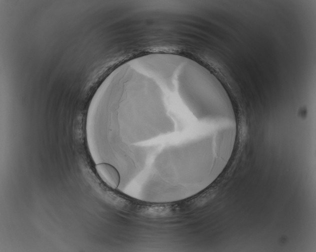 X0000115660353200912241403