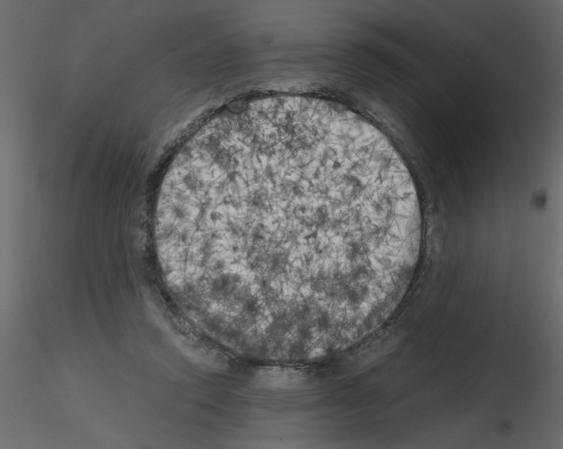 X0000115660354200912241403