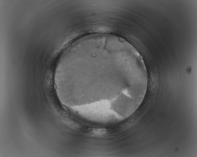 X0000115660355200912241403