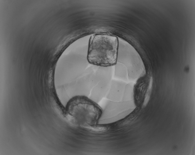 X0000115660357200912241403