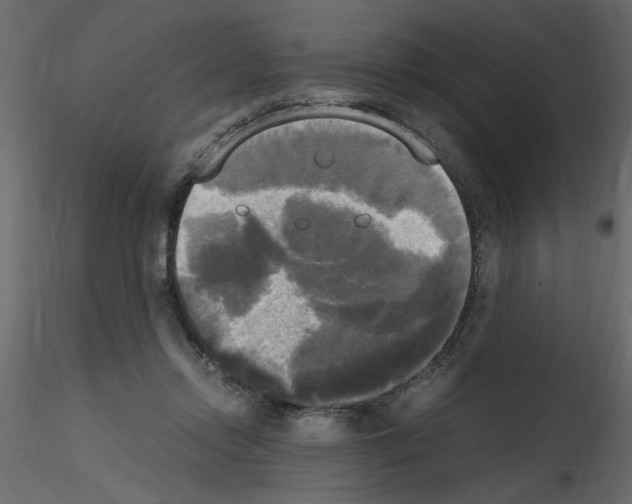 X0000115660358200912241403