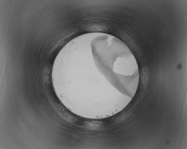 X0000115660359200912241403