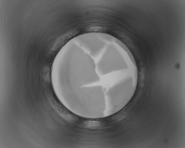 X0000115660361200912241403