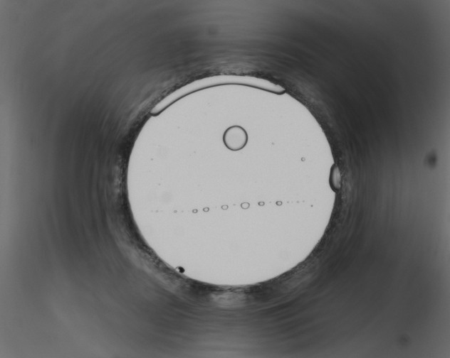 X0000115660362200912241403