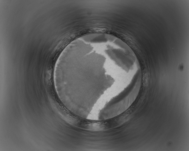 X0000115660365200912241404