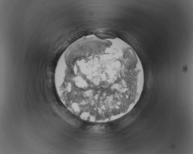 X0000115660366200912241404