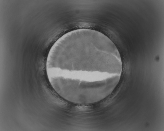 X0000115660367200912241404