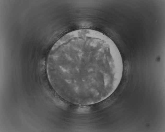 X0000115660369200912241404