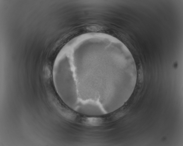 X0000115660371200912241404