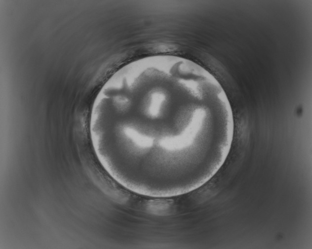 X0000115660373200912241404