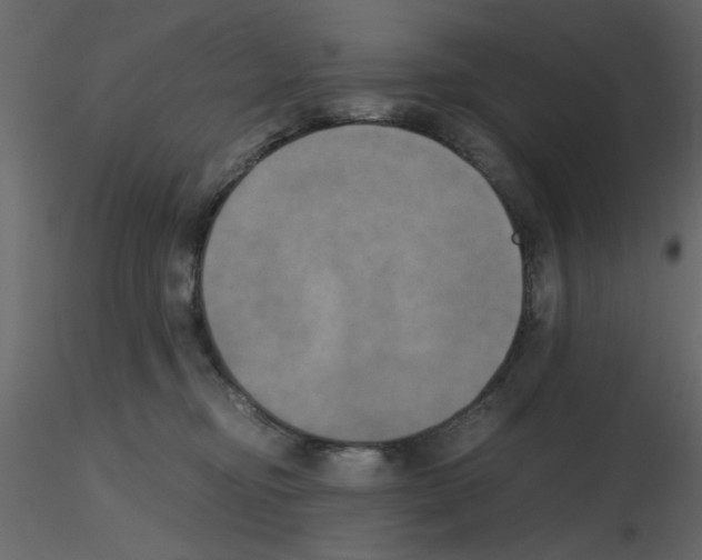 X0000115660374200912241404