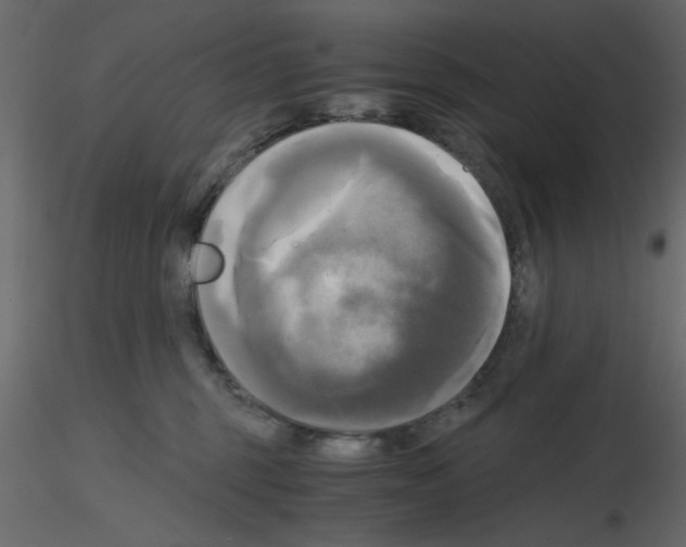 X0000115660375200912241404