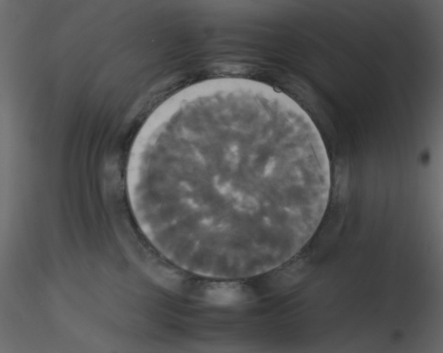 X0000115660377200912241404
