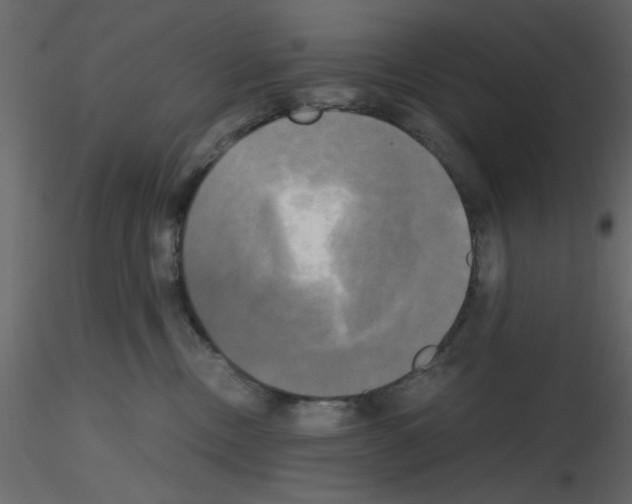 X0000115660378200912241404