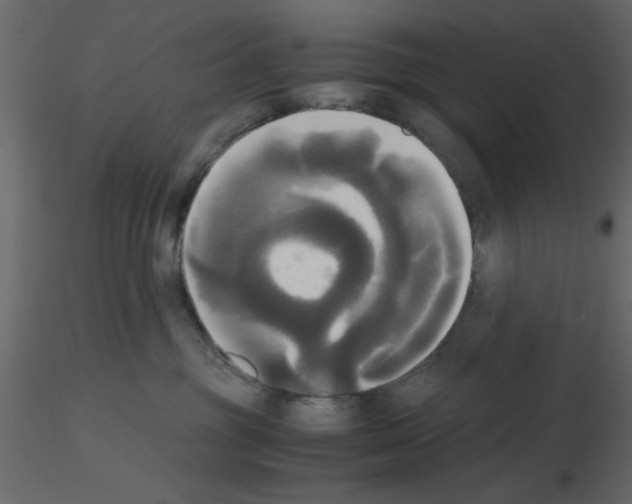 X0000115660381200912241404
