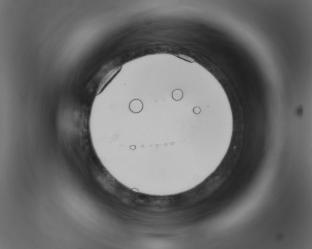 X0000115660382200912241404