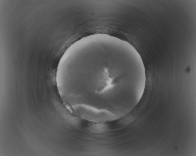 X0000115660383200912241404