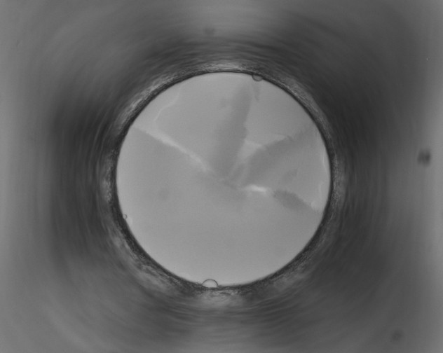 X0000115660386200912241403