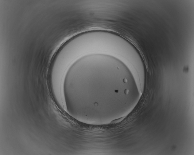 X0000115660387200912241403