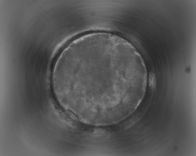 X0000115660388200912241403