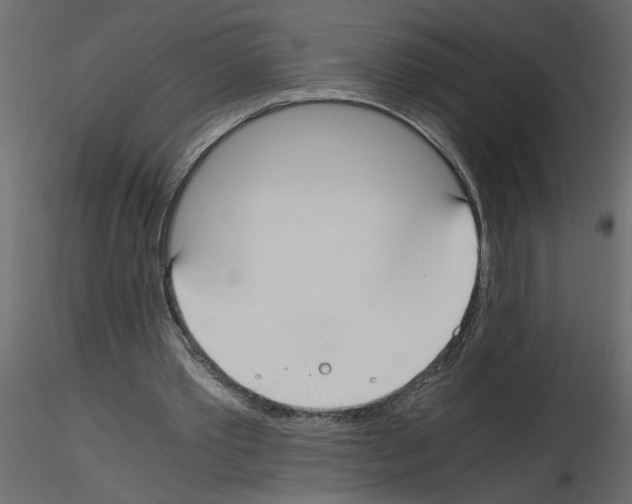 X0000115660389200912241403