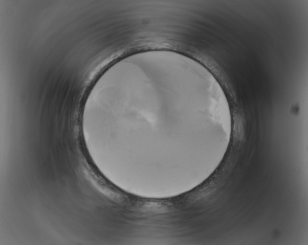 X0000115660390200912241403