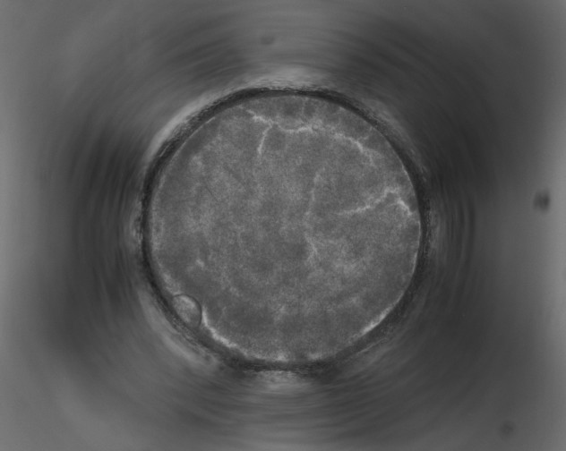 X0000115660392200912241403