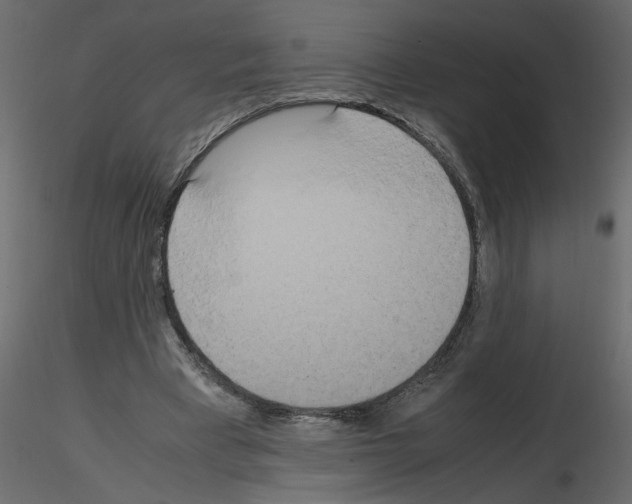 X0000115660393200912241403