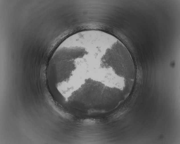 X0000115660394200912241403