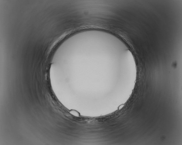 X0000115660395200912241403