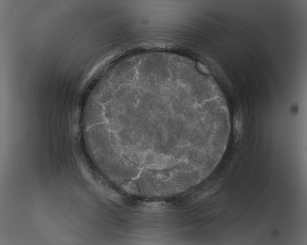 X0000115660396200912241403