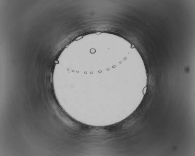 X0000115660397200912241403