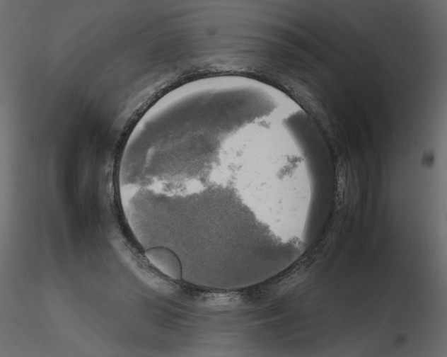 X0000115660398200912241403