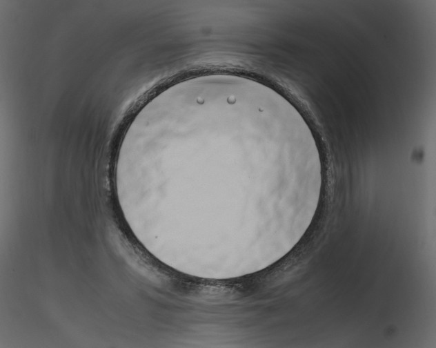 X0000115660399200912241403